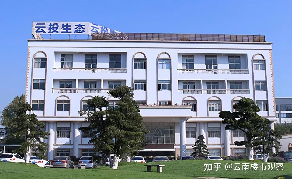 云投生態(tài)最新動(dòng)態(tài)，引領(lǐng)綠色發(fā)展，成為先鋒力量