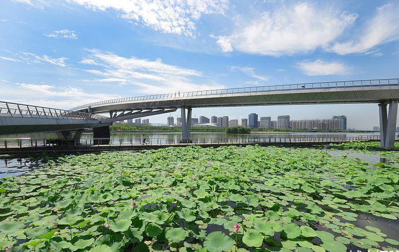 萊蕪與濟(jì)南合并最新動態(tài)，城市融合發(fā)展的前景展望