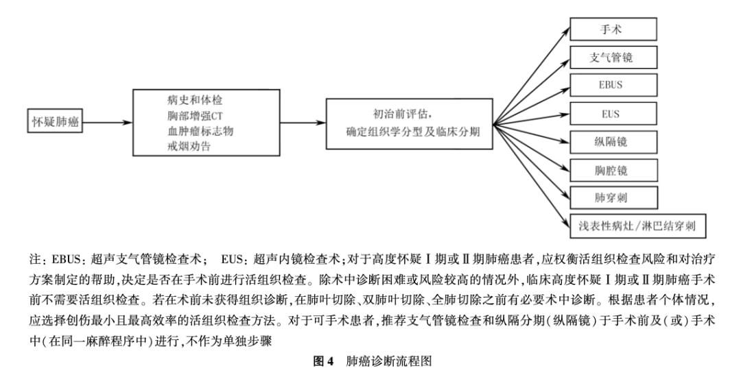 最新醫(yī)學(xué)指南，引領(lǐng)醫(yī)學(xué)進(jìn)步，照亮人類健康之路