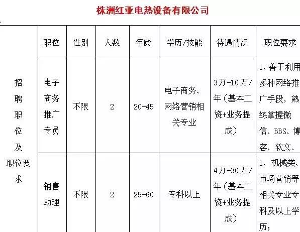 荷塘人才網最新招聘動態(tài)，探索職業(yè)發(fā)展無限可能