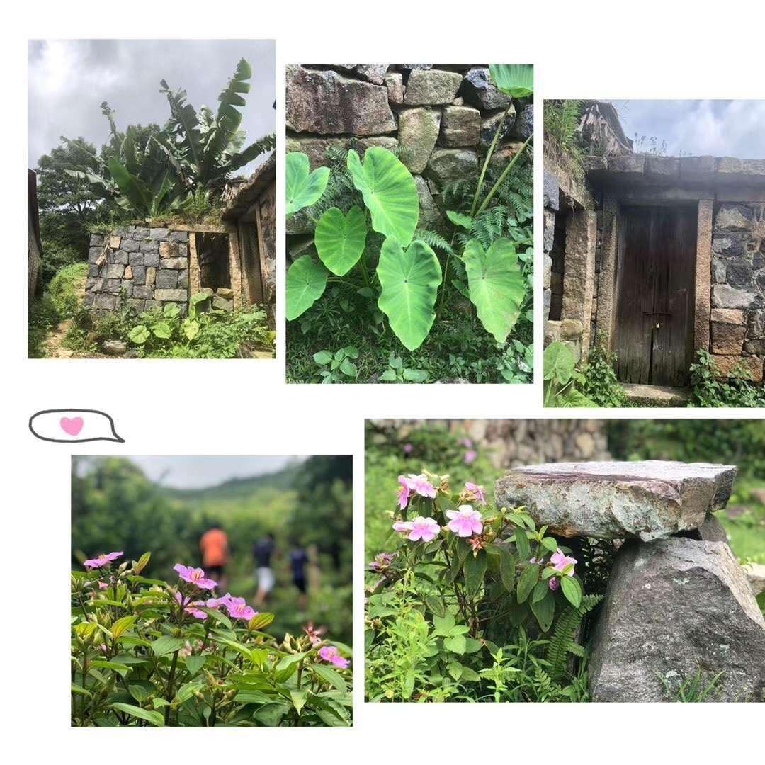 柳城街道最新發(fā)展規(guī)劃，塑造未來城市新藍圖