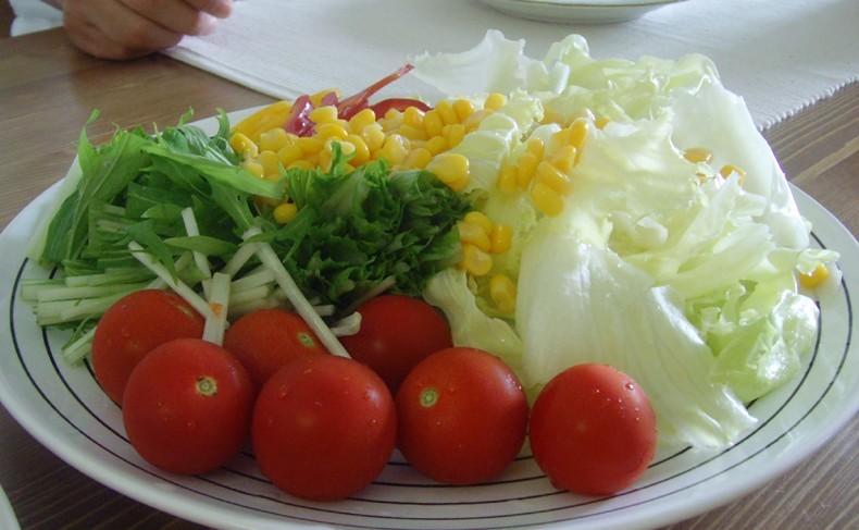 食菜網(wǎng)最新動態(tài)，引領(lǐng)食品產(chǎn)業(yè)創(chuàng)新發(fā)展的前沿平臺