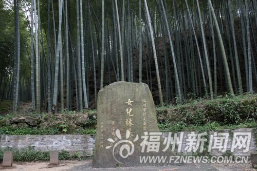 連江林場(chǎng)最新資訊報(bào)道