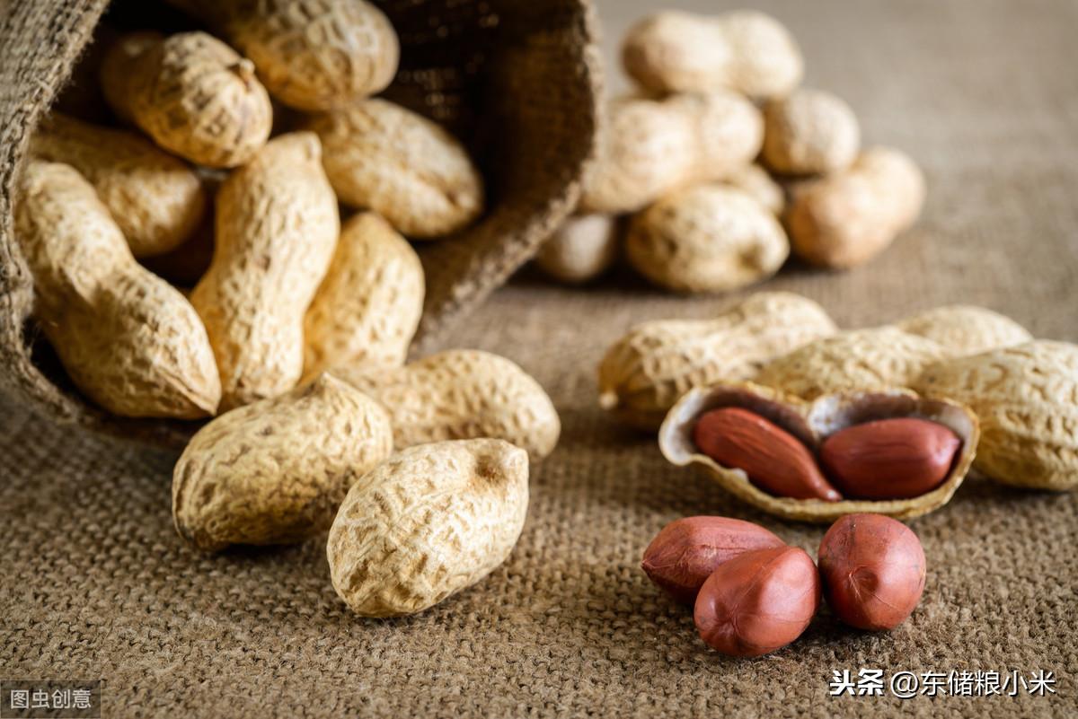 全國(guó)花生最新價(jià)格及動(dòng)態(tài)分析概覽